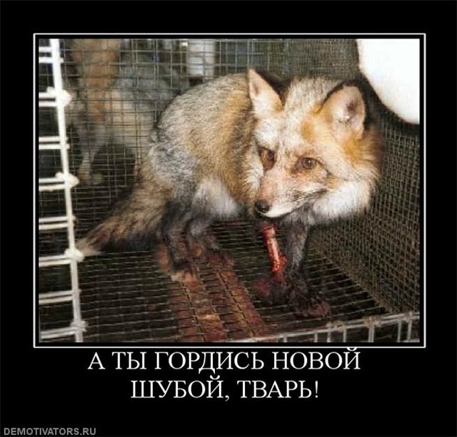 Валентин Савельев фотография #18