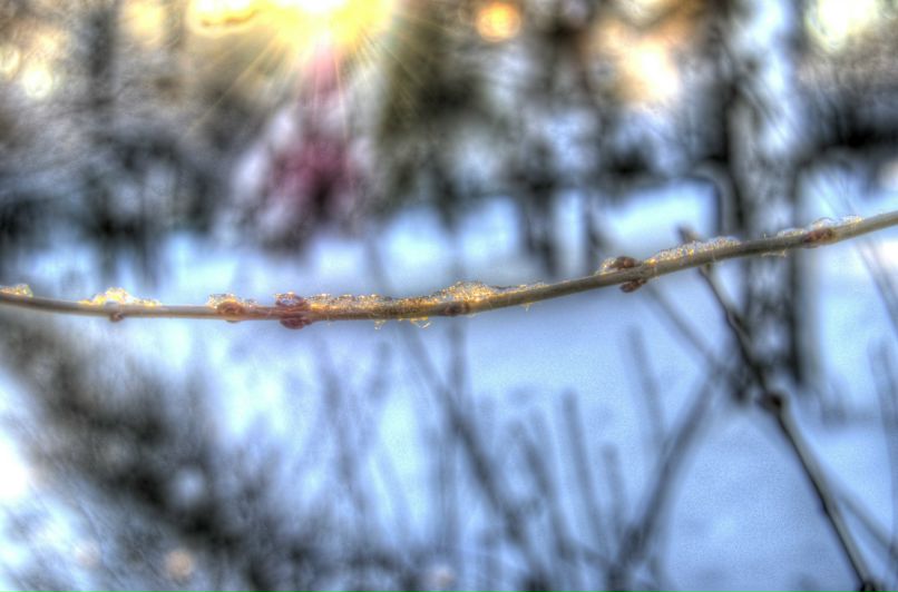 Святослав Тодер фотография #14