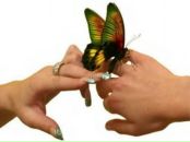 Іван Лузін фотография #33 (источник - https://vk.com/id10251325)