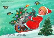 Оля Щебедько фотография #43 (источник - https://vk.com/id38648126)