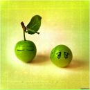 Віталій Вишня фотография #1