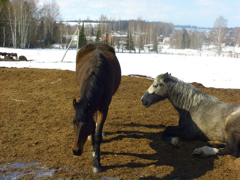 Людмила Плотникова фотография #39