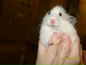 Фотография Арбузовой Ани