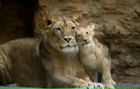 Фотография Баюковой Юлии