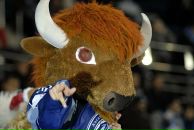 Фотография Поплавского Никиты