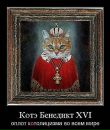 Аліна Котова фотография #45 (источник - https://vk.com/id6179769)
