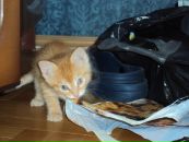 Фотография Зайко Антона