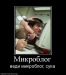 Александр Ветренко фотография #49 (источник - https://vk.com/id10357291)