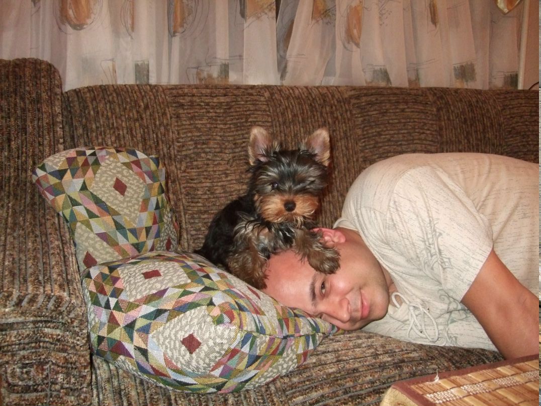 Сергей Богомол фотография #7