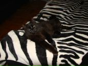 Фотография Евстратовой Тани