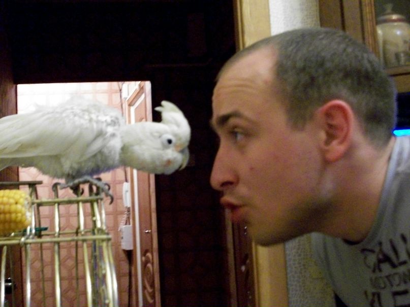 Дмитрий Дмитрий фотография #42