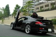 Фотография Матылевича Александра