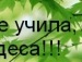 Вікторія Левицька фотография #44 (источник - https://vk.com/id133476728)