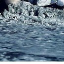 Карына Шевченко фотография #2 (источник - https://vk.com/id123790879)