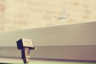 Христя Стахів фотография #24 (источник - https://vk.com/id5790240)