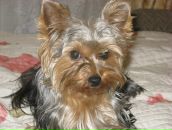 Вован Sid фотография #45 (источник - https://vk.com/id489035)