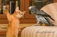 Фотография Журавлевой Жанны