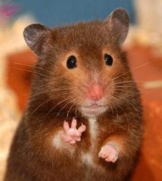 №15, Александр Нехов №15, Александр Нехов