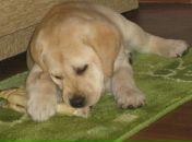 Фотография Арбатовой Марии