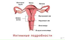 Дмитрий Рогов фотография #44 (источник - https://vk.com/id4421886)