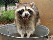 Иван Ковчегов фотография #22 (источник - https://vk.com/id430968)