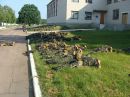 Роман Гіневський фотография #20 (источник - https://vk.com/id67797765)