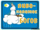 Ванюха :) фотография #26 (источник - https://vk.com/id152061599)