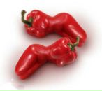 Фотография Чуприны Инны