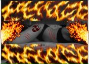 Фотография Виницкий Евгений