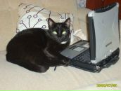 Фотография Адамчевской Татьяны