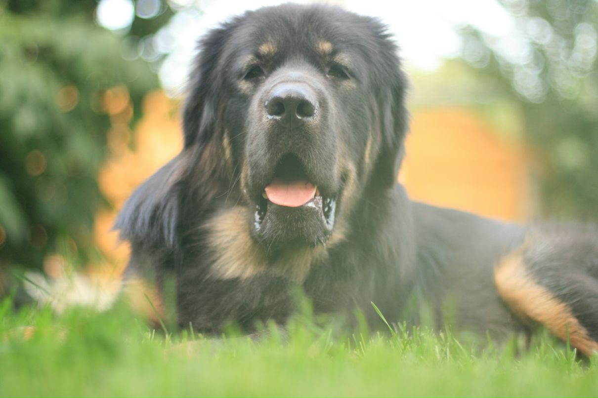 Slash Dot фотография #46