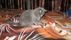 Фотография Никоновой Натальи