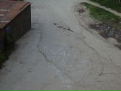 Фотография Немешаевой Анны