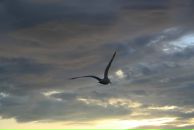 Фотография Молчановой Марины