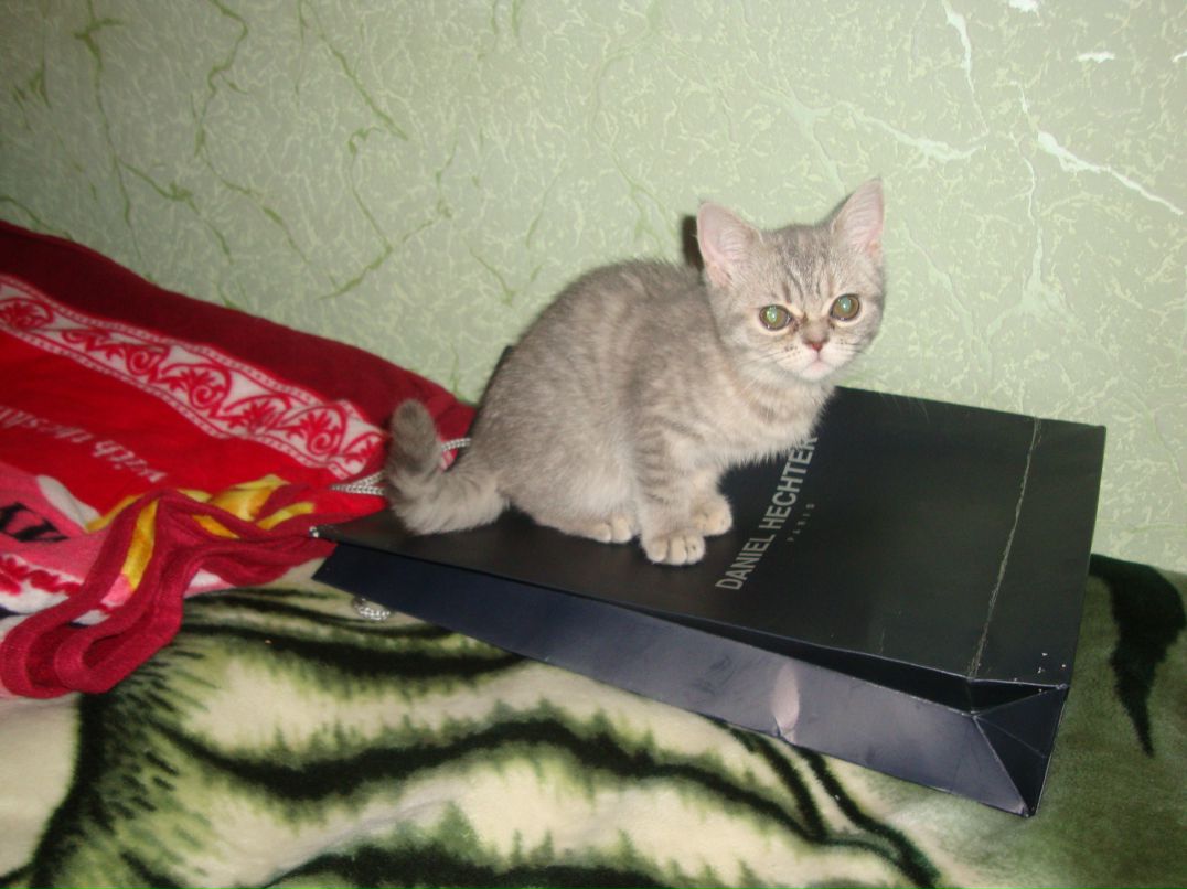 Дмитрий Бойко фотография #37