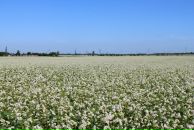 Александр Иляскин фотография #22 (источник - https://vk.com/id520348)