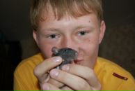 Фотография Талалихина Александра