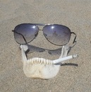 Фотография Максимова Андрея