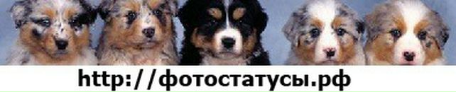 Олена Савельєва фотография #11 (источник - https://vk.com/id134371406)