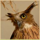 Фотография Рагозиной Ольги