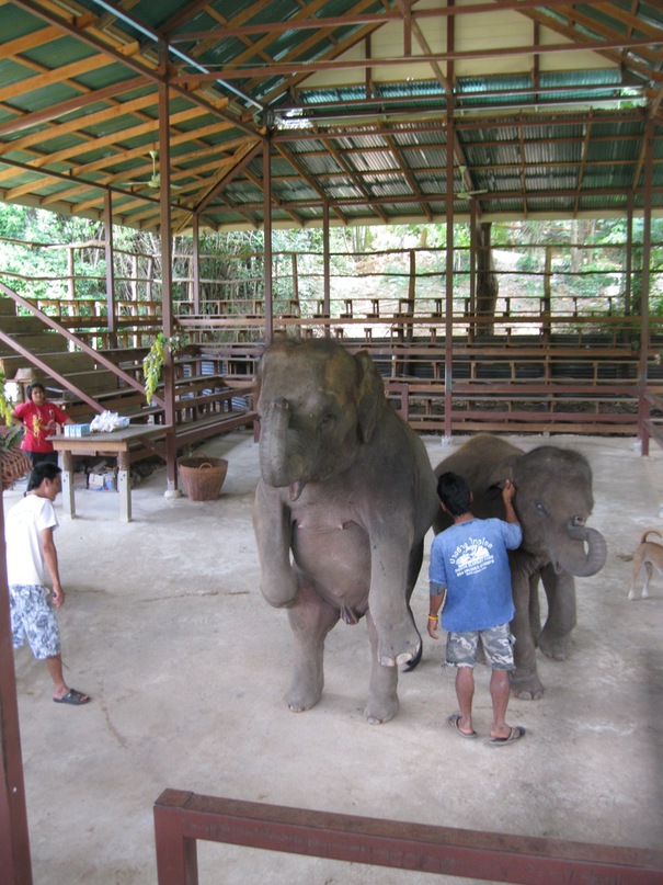 Павел Баш фотография #37