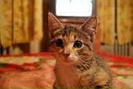 Фотография Кострова Дениса