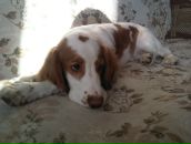 Фотография Беневой Светланы