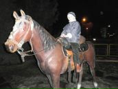 Діма Люпак фотография #29 (источник - https://vk.com/id125651426)