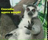 Вітьок Вавілов фотография #2 (источник - https://vk.com/id136787614)