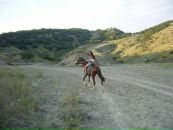 Ирчик Кис фотография #26 (источник - https://vk.com/id1776292)