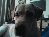 Фотография Losev Dmitriy