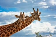 Фотография Щановской Натальи