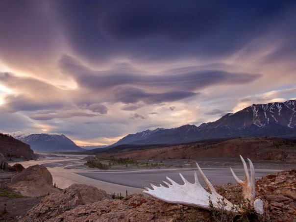 Евгений Хоффман фото №6
