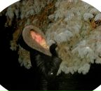 Фотография Егоровой Анны